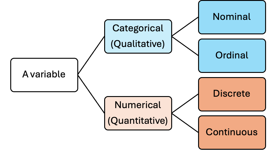 Flow-chart of variable types