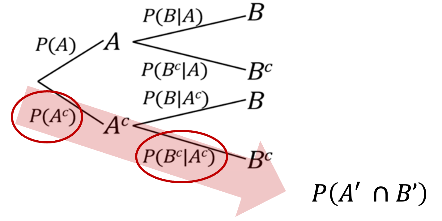 Computing a path probability using a tree diagram