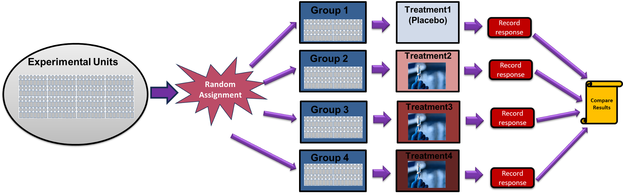 Diagram of Completely Randomized Design