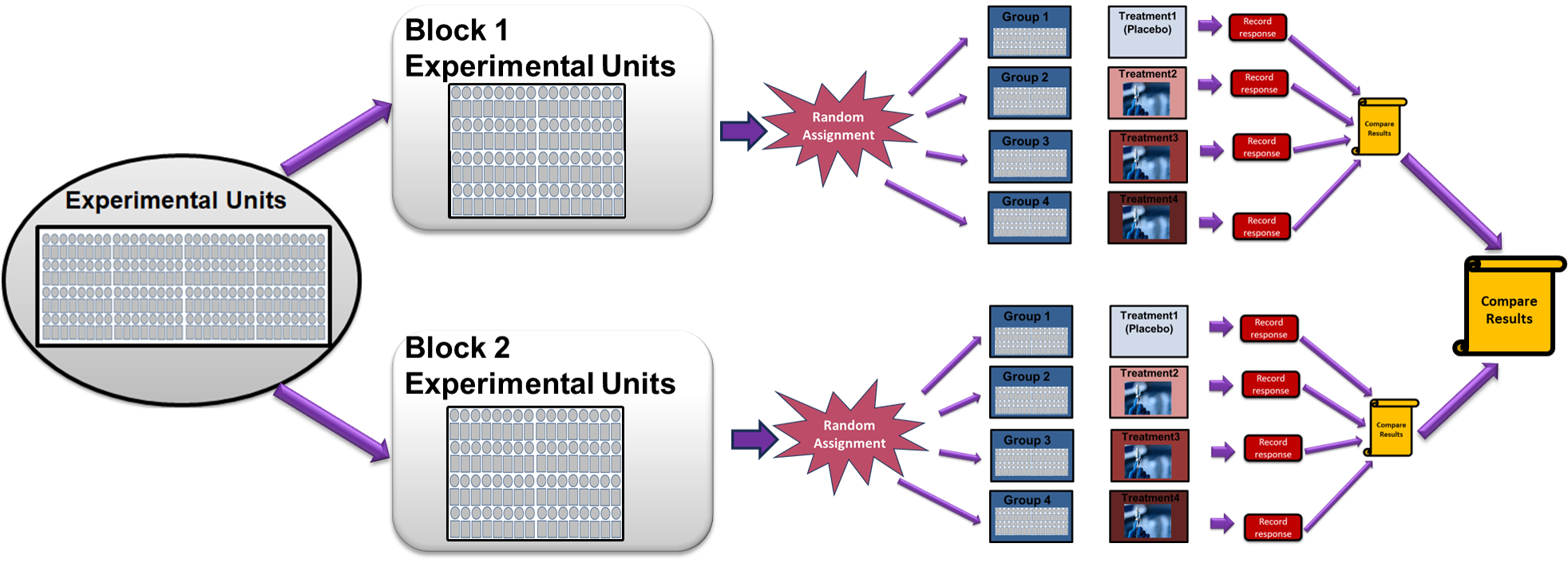 Diagram of Randomized Block Design